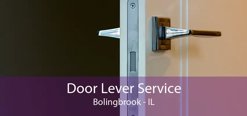 Door Lever Service Bolingbrook - IL